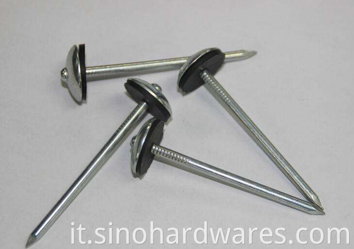 roofing nails